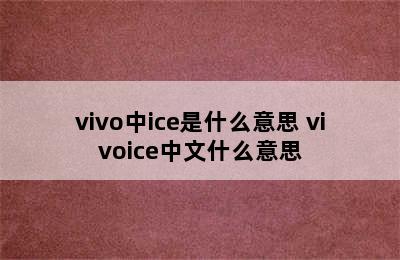 vivo中ice是什么意思 vivoice中文什么意思